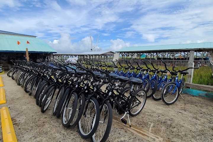 15+ Bike Rentals Edisto Beach